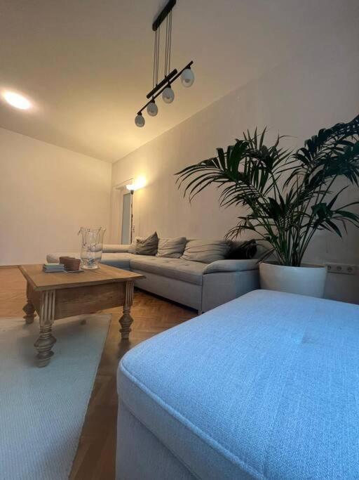Ganzes Haus In Der Altstadt, Ideal Fuer 2 Personen, 4 Gaeste Moeglich Quakenbrück エクステリア 写真